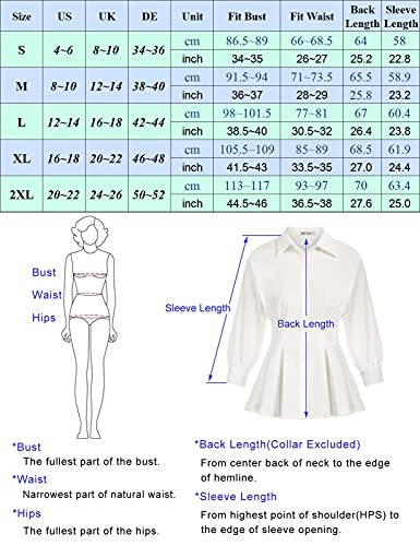Camisa de Manga Larga con Hombros Descubiertos para Mujer Camisa Suelta de murciélago con alas de murciélago Camisa Plisada de Cintura Alta Camisa Blanca Elegante de Oficina CL455A21-4_XL