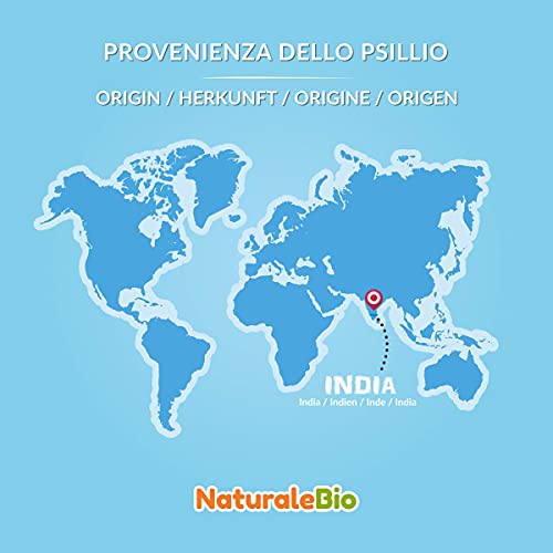 Cáscara de Psyllium Ecológico - 99% Pureza - 200g. Psyllium Husk, Natural y Puro. Cutícula de semillas de Psilio Orgánico, producido en India. Rico en Fibra, para añadir al Agua, Bebidas y Zumos.