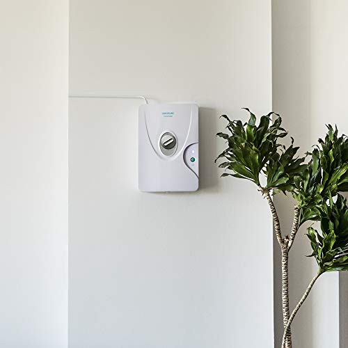 Cecotec Generador de Ozono Doméstico TotalPure 3000 Ozone. 8 W Potencia, Expulsión 600 MG/h, Temporizador hasta 60 min, Incluye 2 Piedras Purificadoras, Luz de Encendido, 25m2