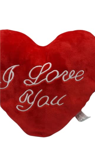 Cojín corazón con alas Frase de Amor I Love You de 60cm