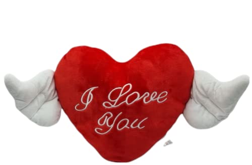 Cojín corazón con alas Frase de Amor I Love You de 60cm