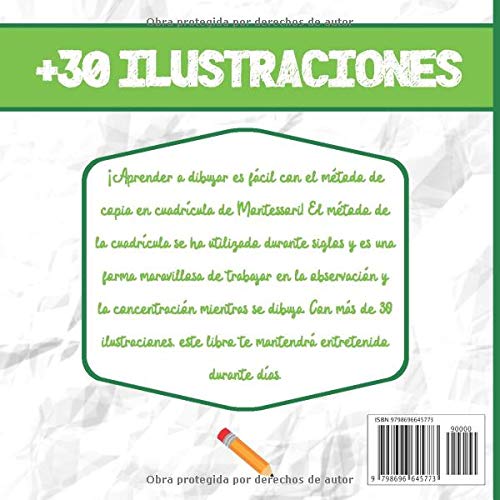 CÓMO DIBUJAR DINOSAURIOS PARA NIÑOS DE 4 A 8 AÑOS: Libro de Actividades Montessori - 4-8 años - Aprender a Dibujar - Más de 30 Ilustraciones - El ... Mejorar la Concentración y la Observación
