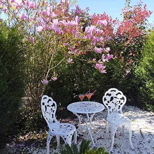 Conjunto de 1 Mesa y 2 Sillas de Aluminio Máxima Calidad y Resistencia para jardín, balcón, terraza, Piscina. Fabricación Artesanal en Europa. (Blanco)