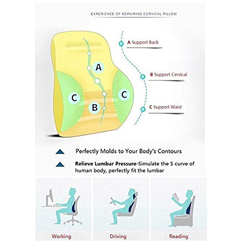 CONRAL Almohada y Soporte Lumbar de Soporte Cuello Espuma Memoria 2 Piezas para automóviles, diseño ergonómico, Desplazamiento, Alivio presión, Alivio Espalda, para Silla Oficina, Silla Ruedas,Grey