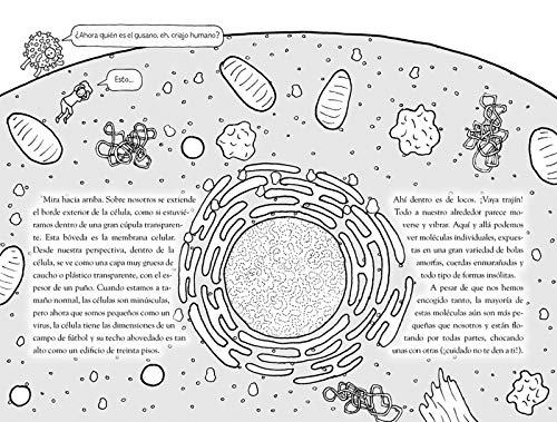 Coronavirus: La covid-19 explicada a los niños (Escritura desatada)