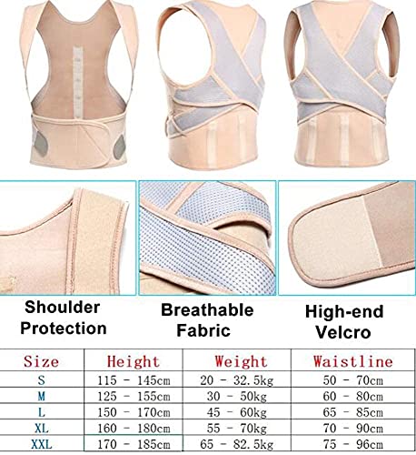 Corrector de postura de espalda Los correctores de postura pueden ser usados​por hombres y mujeres.El soporte trasero se puede usar for mejorar la cifosis y aliviar el cuello del hombro y el dolor de