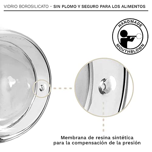 Creano Conjunto de 6 Vasos Térmico "Hummi" con Impresión de Pajaro Colibrì, Vaso de Té de doble Pared, Latte Macchiato, Taza Térmica Kolibri | 250ml en Caja de Regalo Exclusiva