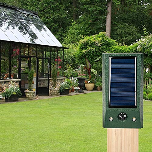 DA Repelente por ultrasonidos para Ratones, Ratones, Mosquitos, Insectos, arañas, cucarachas, Hormigas antimosquitos ultrasónicos
