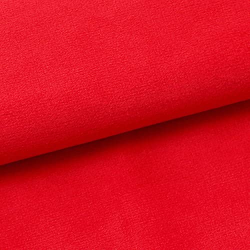 Dalina 2 Fundas de Cojines de Terciopelo de 45x45CM - Fundas para Almohadas y Cojines, 100% Poliéster y Extra Suave , 2 Unidades con Cierre de Cremallera . (Rojo)