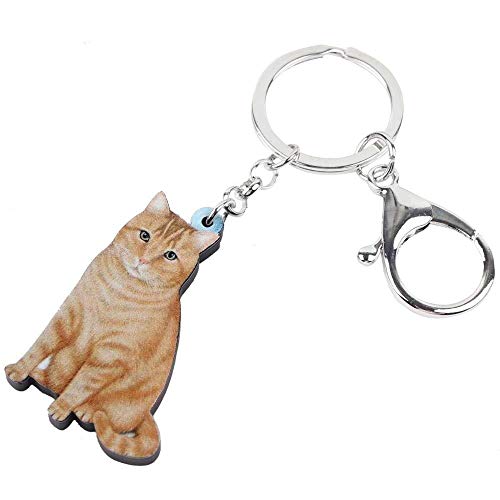 DdA8yonH Llavero Elegante Sala de acrílico Naranja Cat Llaveros Llavero Joyas Anillos para Mujeres niñas señoras Bolso Alquiler de Mascotas