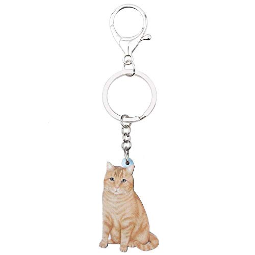 DdA8yonH Llavero Elegante Sala de acrílico Naranja Cat Llaveros Llavero Joyas Anillos para Mujeres niñas señoras Bolso Alquiler de Mascotas