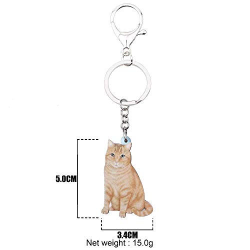 DdA8yonH Llavero Elegante Sala de acrílico Naranja Cat Llaveros Llavero Joyas Anillos para Mujeres niñas señoras Bolso Alquiler de Mascotas