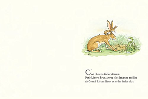 Devine combien je t'aime (Petite bibliothèque)