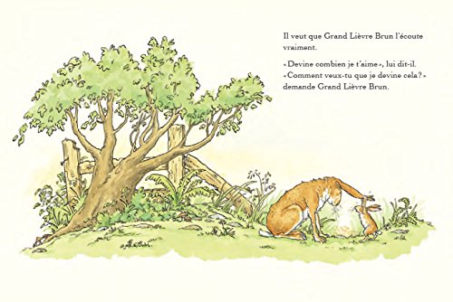 Devine combien je t'aime (Petite bibliothèque)