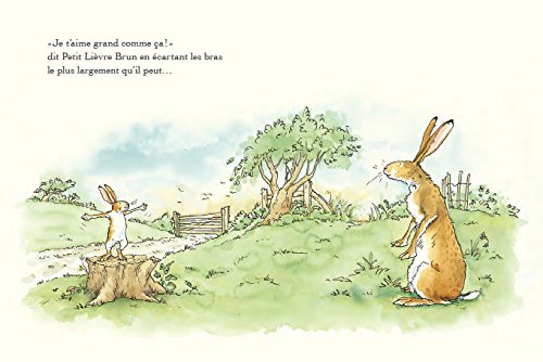 Devine combien je t'aime (Petite bibliothèque)