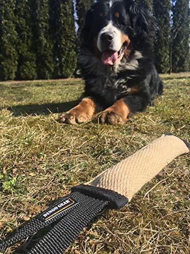 Dingo Gear - Remolcador de Perro Reforzado con Rodillo para Entrenamiento de mordida y diversión sin Asas (25 x 3 cm)