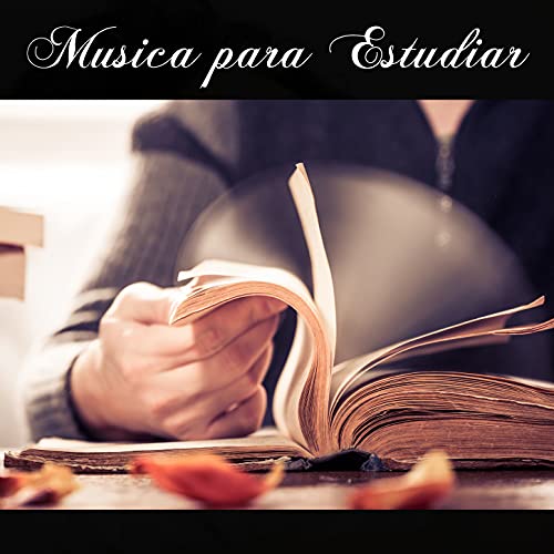 Dividir Atención