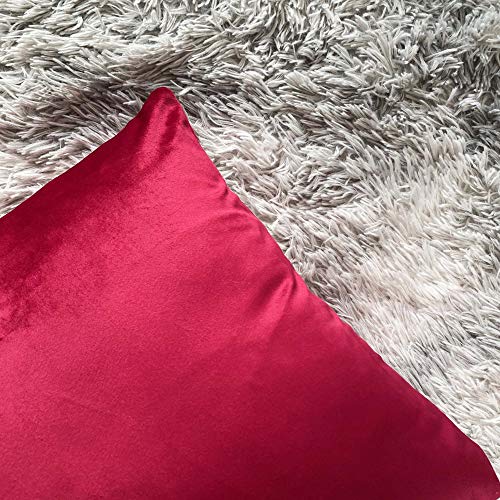Douceur De Plumes Juego de 2 Fundas de cojín Rojo Frambuesa 30x50 Terciopelo Decorativo Liso, Suave y Moderna Funda de Almohada Cuadrada, decoración escandinava Sala, sofá (2 Rojo Frambuesa)