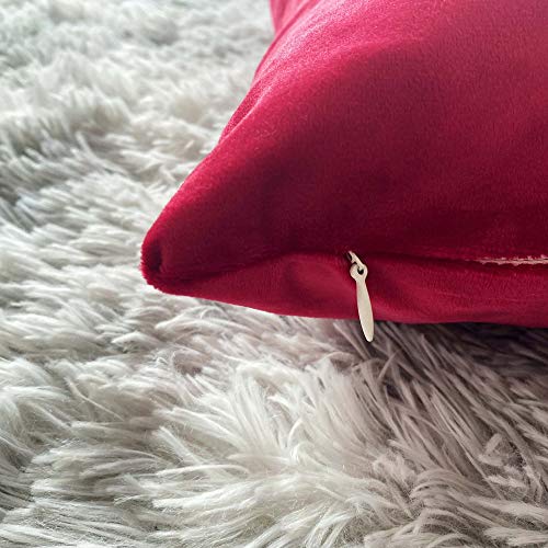 Douceur De Plumes Juego de 2 Fundas de cojín Rojo Frambuesa 30x50 Terciopelo Decorativo Liso, Suave y Moderna Funda de Almohada Cuadrada, decoración escandinava Sala, sofá (2 Rojo Frambuesa)