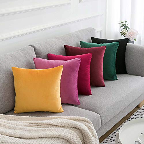 Douceur De Plumes Juego de 2 Fundas de cojín Rojo Frambuesa 30x50 Terciopelo Decorativo Liso, Suave y Moderna Funda de Almohada Cuadrada, decoración escandinava Sala, sofá (2 Rojo Frambuesa)
