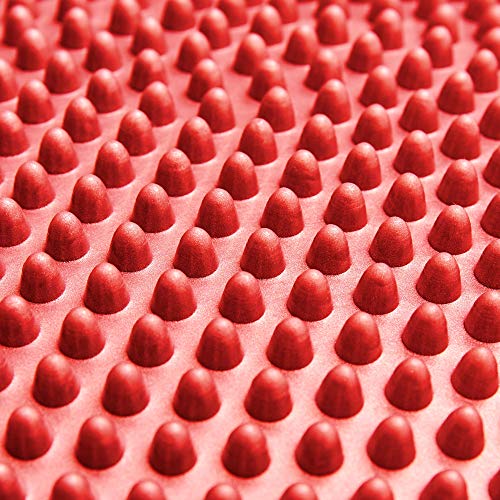 #DoYourFitness Cojín de Equilibrio con Inflador Incluido - Cojín Lumbar Silla de Oficina para Mejorar Postura - Ejercicio en Casa para Rehabilitación y Coordinación - 33 cm / Rojo