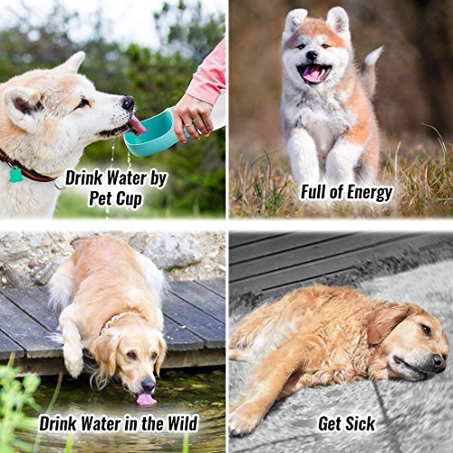 DryMartine Botella de Agua para Perro, Botella Portátil de Agua Potable para Mascotas al Aire Libre, Resina Plástica ABS Ambiental (Azul)