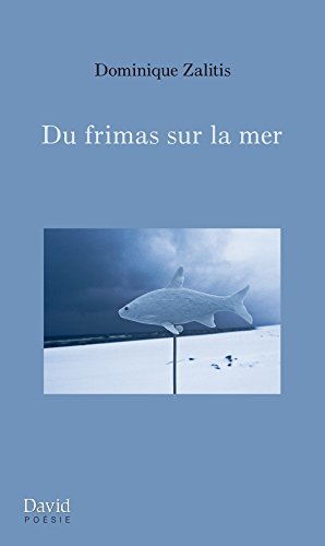 Du frimas sur la mer (French Edition)