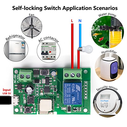 EACHEN WiFi Inlay inalámbrico Relé Momentáneo/Autoblocante Interruptor Inteligente DIY Hogar inteligente Gadget DC 5-32V Entrada Aplicación Ewelink Compatible con Alexa Google Nest IFTTT (ST-DC1)