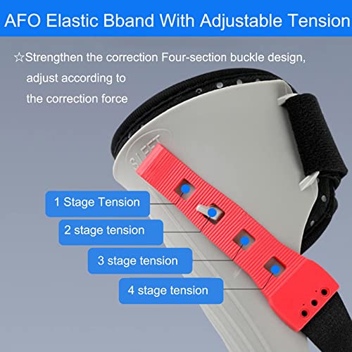 ECHBH Ortesis Férula De Apoyo, Ortesis Brace Tablilla Fascitis Plantar Corrector De Apoyo del Pie, Férula Plantar para Lesiones De Tobillo Y Pie (S M L XL)
