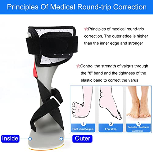 ECHBH Ortesis Férula De Apoyo, Ortesis Brace Tablilla Fascitis Plantar Corrector De Apoyo del Pie, Férula Plantar para Lesiones De Tobillo Y Pie (S M L XL)