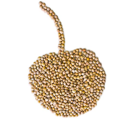 Eigenmarke - Huesos de cereza para relleno de cojín (2 kg)