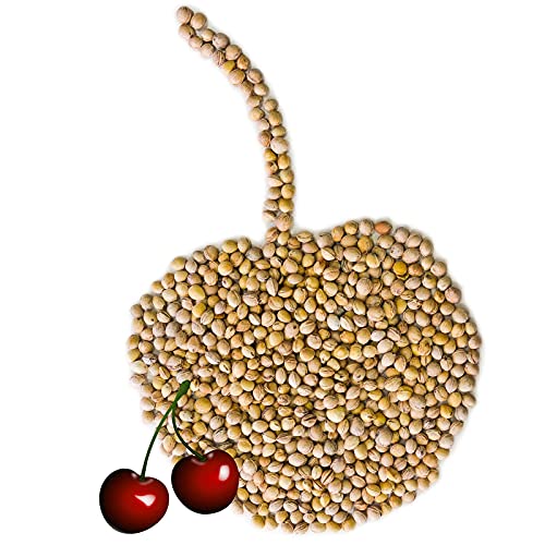 Eigenmarke - Huesos de cereza para relleno de cojín (5 kg)