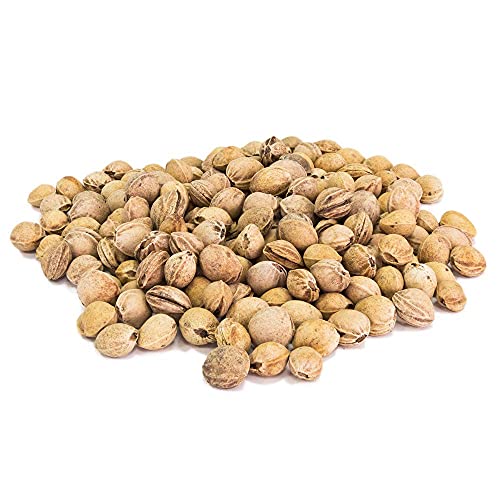 Eigenmarke - Huesos de cereza para relleno de cojín (5 kg)