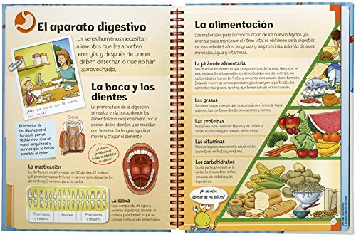 El cuerpo humano (Mi primer libro de...)
