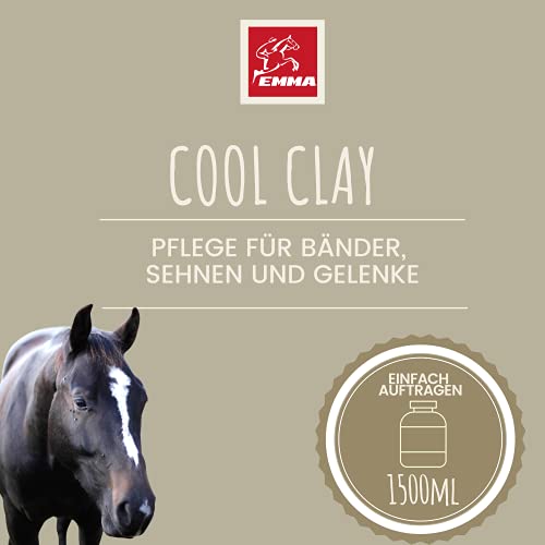 EMMA - Arcilla de ácido acético para Caballos 1,5 Kg I Pasta de Arcilla Caballo con extractos de Hierbas de árnica, manzanilla y mentol I Arcilla curativa I Pasta de Arcilla