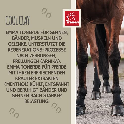 EMMA - Arcilla de ácido acético para Caballos 1,5 Kg I Pasta de Arcilla Caballo con extractos de Hierbas de árnica, manzanilla y mentol I Arcilla curativa I Pasta de Arcilla