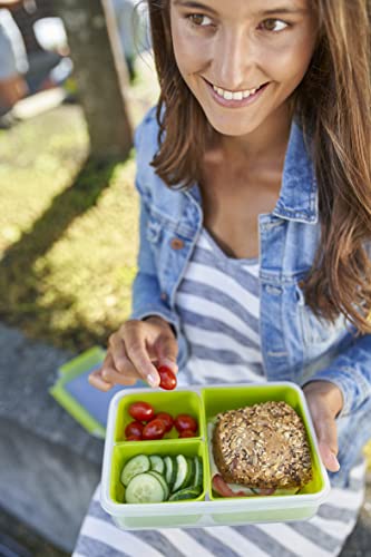 Emsa Clip&Go Snack - Recipiente hermético de plástico con 3 compartimentos y bandeja independiente para comer, totalmente hermético y libre de BPA, 1,20 L, rectangular