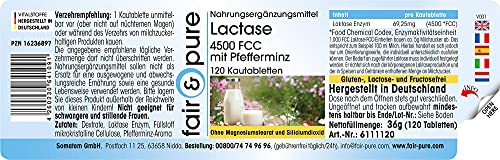 Enzima Lactasa 4500 FCC - Altamente dosificada - 120 Comprimidos masticables