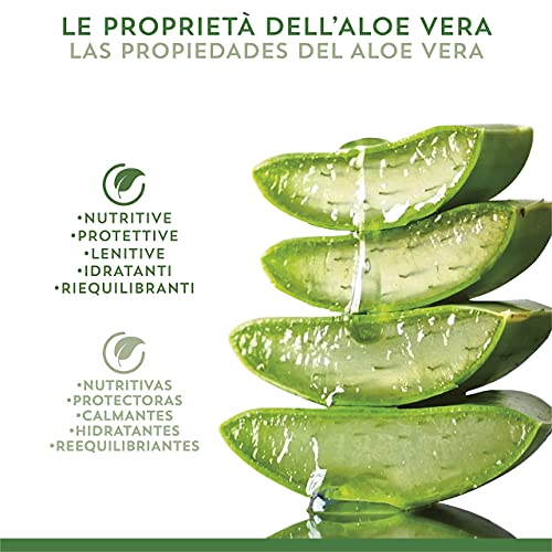 Equilibra Cuidado Bucal, Colutorio Triple Acción a Base de Aloe Vera, Colutorio Calmante que Protege Contra las Bacterias, Contrarresta las Caries, el Sarro y las Enfermedades de las Encías, 500 ml