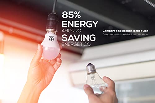 Espartan - Bombillas LED E27 Luz Fría Bola 15W, 6400K, 1500 lúmenes, Equivalente a 100W Bombilla Incandescente Halógena, Bombilla LED E27 Blanco Frío, Rosca Casquillo Gordo, Bombilla E27 - Pack de 3