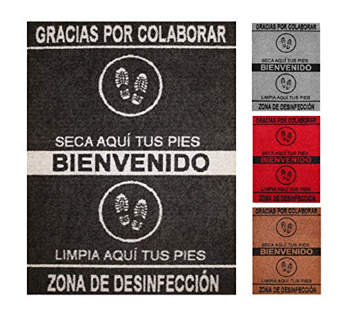 Felpudo desinfectante Calzado - Alfombra Limpia Zapatos para la Entrada, moqueta higienizante (Negro, 68_x_90_cm)