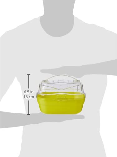 Ferplast Trasportín para hámsteres y otros pequeños roedores ALADINO SMALL Jaula de viaje para roedores y hámsteres, Rejillas de ventilación, Cómoda asa, Cierre seguro, 20 x 16 x h 13,5 cm Verde