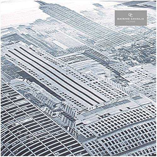 Gaveno cavalia - Juego de Funda de edredón y Funda de Almohada de polialgodón con Estampado Moderno de Nueva York, Color Gris/Negro, Multicolor, Suelto
