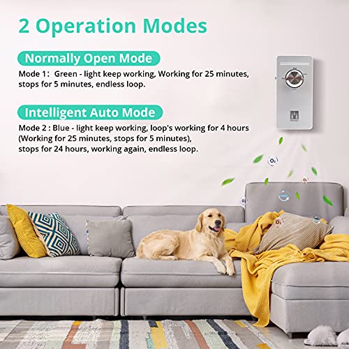 Generador de ozono, purificador de aire, esterilizador de Spessn, purificador de aire, generador de ozono para habitaciones, baños, mascotas, formaldehído y olor, alta eficiencia