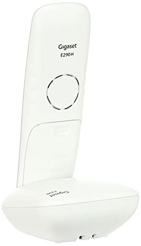 Gigaset E290 DUO - Teléfono para Mayores - Teclas Grandes - Gran Visibilidad - Pack de 2 Unidades