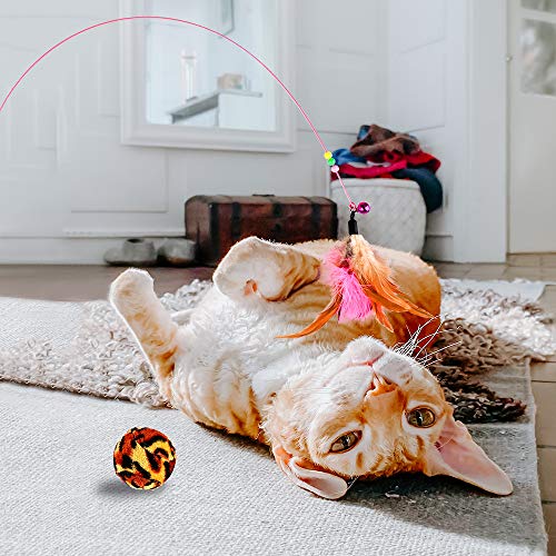 GOLDGE 16 Piezas Juguetes para Gatos, Juguete Interactivo con Plumas para Gatos, Ratóns y Bolas Varias para Gatos