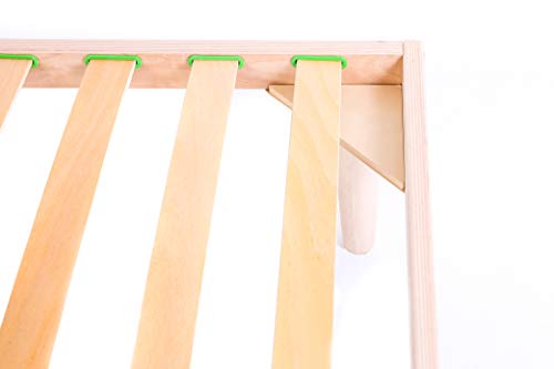 Green Design Lote de 3 láminas de 53 mm de ancho de madera de haya de repuesto para cama de 3 láminas curvadas, de doble grado A (900 mm de largo)