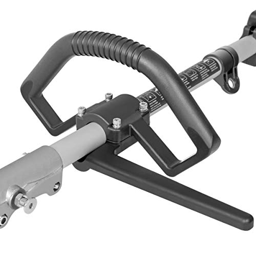 GREENCUT PP650X - Podadora de altura de gasolina de 56cc y 4,9cv, Espada de 305mm y altura maxima de 5m con 3 barras extensibles