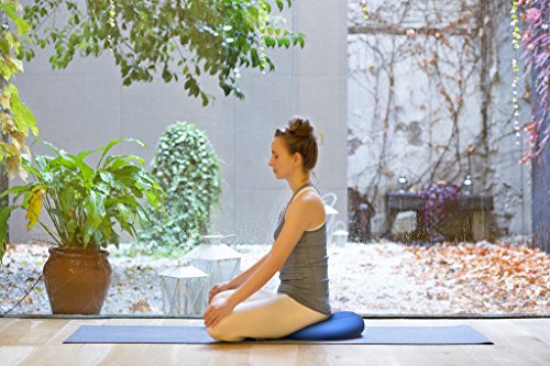 GSOTOA Cojín De Equilibrio con Bomba Cojín Oscilante Asiento De Bola Cojín De Asiento Ortopédico Anti-Explosión para Automóvil, Fisioterapia, Silla, Yoga, Fitness, Masaje