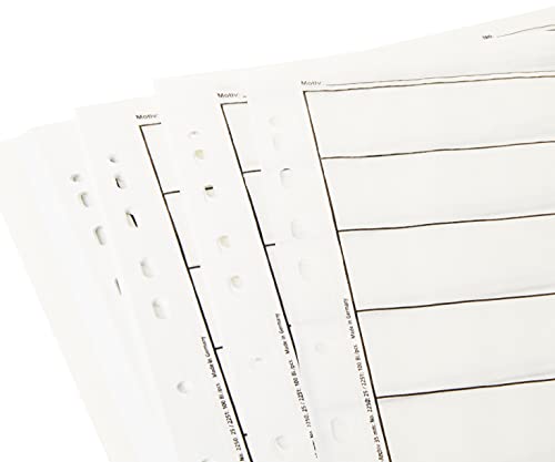 Hama - Negative Sleeves, 24 x 36 mm, Glassine matt, 310 mm, 260 mm (importado)